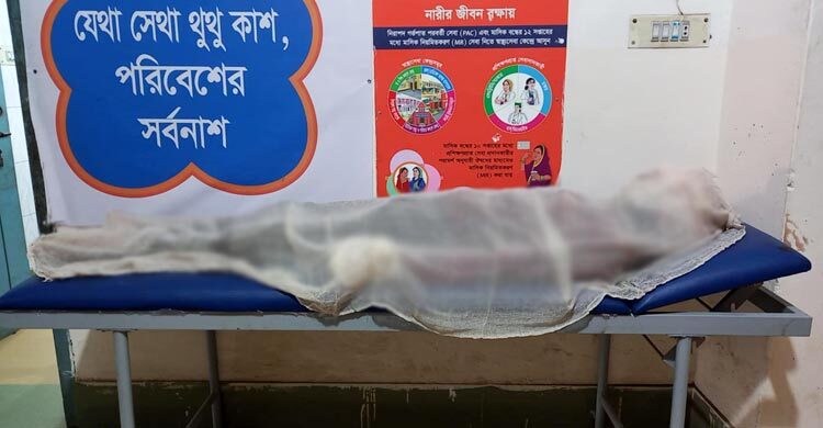 দিনাজপুরে কাভার্ডভ্যান-ইজিবাইক মুখোমুখি সংঘর্ষে নিহত দুই